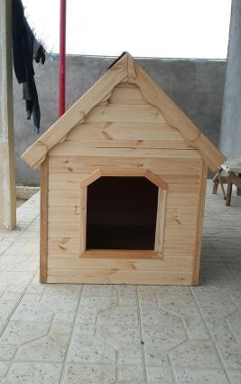 it yivasi. olculer yaxwidi her olcude it yerwer icene. laklanib. ico i