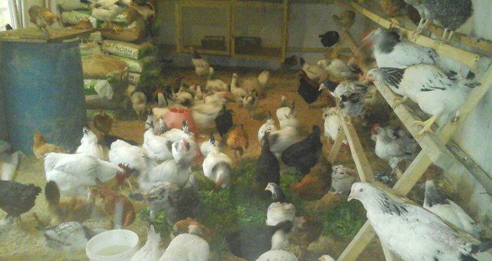 6 azn fereler 6 ve 7 ayliqlar heyet serayitinda saxlanir
SABUNCU RAYON