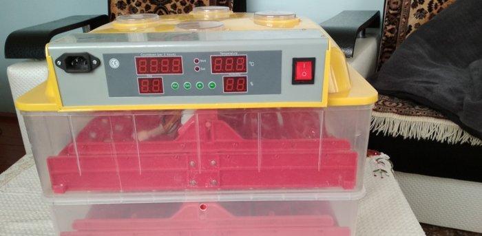 Inkubator ela veziyetdedi tam aftamatiqdi 72 eded toyuq yumurtasi tutu