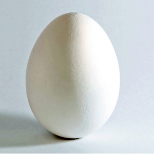 Sahte Tavuk Yumurtası