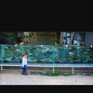 Diri baliq satisi ucun 540litr tutumu olan akvarium satilir