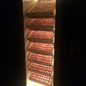 tam avtomatik inkubator. Nemislik istilik yumurtaların dönmesi tam av