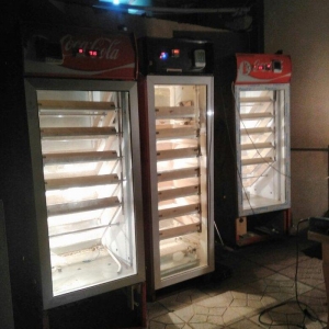 tam avtomatik inkubator. Nemislik istilik yumurtaların dönmesi tam av