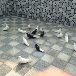 Nikolay quwlaridi 16-17 denedi biri 25 manata hamisini alan olsa qiyme