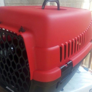 Qəfəs yenidir, whatsapp aktivdir və ya nömrəyə zəng edib maraqlana bil