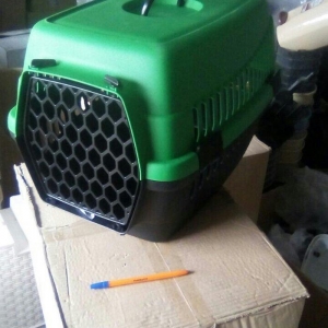 Qəfəs yenidir, whatsapp aktivdir və ya nömrəyə zəng edib maraqlana bil