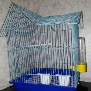 seliqeli islenmis qefes satilir ustunde iki yem ve bir du qabisi cubug