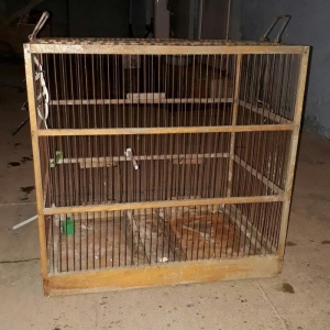 papuqay dovwan ucin qefes yaxsi veziyyetdedi real aliciya cuzi endirim