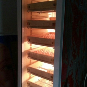 Her ölçüde İnkubator sifarisi qebul olunur. İnkubatorlar vitrin xalade