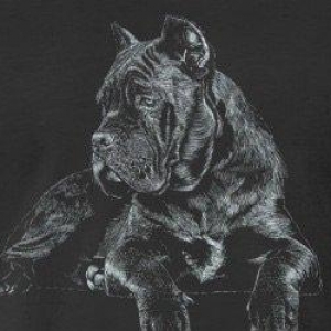 Орижинал италиян масивлари кане коросо сенетли пасапортлу алычынын ады