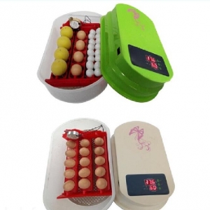 12 yumurtaliq inkubator aparati, tam avtomatik, temperatur ve yumurtal