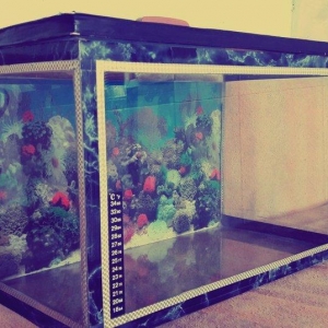 Akvarium 40 litrelik Satilir.Eni 25 sm
 Uzunlugu 50 sm
 Hundurluyu 30