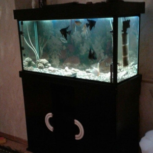 Uzunlugu 1 metr eni 40 hundurluyu 55. ATLIGI ILE BIR SATILIR. TEZEDI .