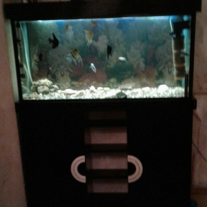 Uzunlugu 1 metr eni 40 hundurluyu 55. ATLIGI ILE BIR SATILIR. TEZEDI .