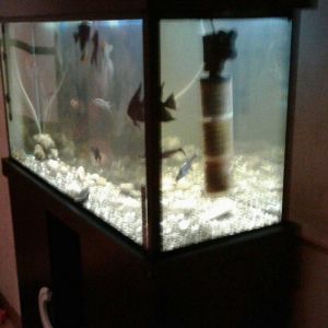 Uzunlugu 1 metr eni 40 hundurluyu 55. ATLIGI ILE BIR SATILIR. TEZEDI .