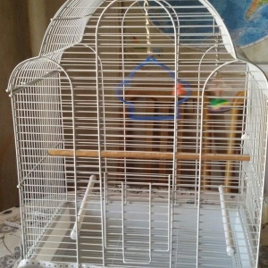 Quş yuvası satılır. Az istifadə olunub. Ölçüləri şəkildə görünür. Cidd