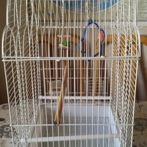 Quş yuvası satılır. Az istifadə olunub. Ölçüləri şəkildə görünür. Cidd