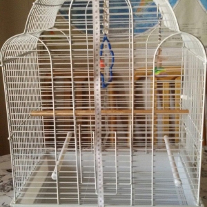 Quş yuvası satılır. Az istifadə olunub. Ölçüləri şəkildə görünür. Cidd