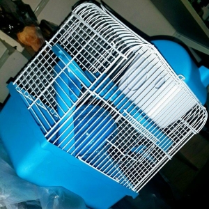 Ev heyvanlarinin dawinmasi ucun dawiyici sumka satilir her razmeri var