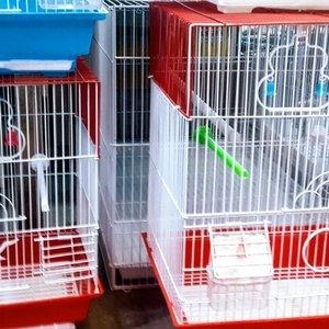 Teze qefesler satilir . Icinin her bir aksesuarlar