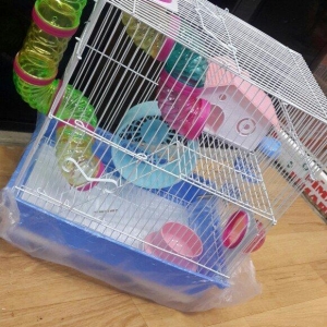 Xamyaklar ve chunqarikler (hamsterler) ucun teze ve genis qefes her bi