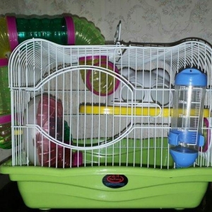 Xamyak ve cunqarikler ucun teze  her bir aksesuari