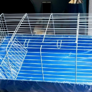 Dowan qefesi satilir tezedir coxxx geniwdir. Esl donwan qefesidir. 1m