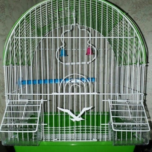 Papuqaylarcun Teze qefes su qabisi yem qabisi cubuq ve aksesuari ustun