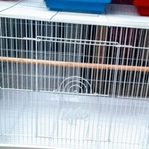 Teze iri qefes satilir. Cubuq,su qabisi ,yem qabis