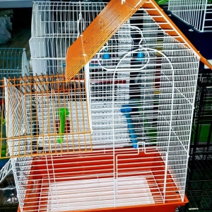 Teze iri papuqaylarcun qefes satilir. Gozel gornuw