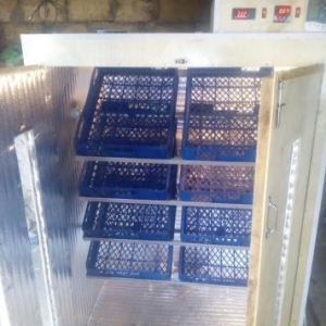 isdenilen yumurta sayına görə inkubatorlar yiqilir tam aftamat və zəma