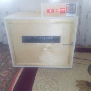 isdenilen yumurta sayına görə inkubatorlar yiqilir tam aftamat və zəma