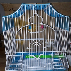 Teze qefes satilir . Ustunde Yem qabi,su qabisi, cubuqlari ve oyuncagi