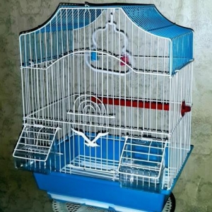 Teze qefes satilir. Su qabi ,yem qabi,  papuqay du