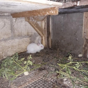 Dosan ve dosan balasi satiram. Xayis edirem bu nomreye zeng edesiz