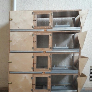 Qus ve dovsan saxlamaq ucun ela serayetli kletka 4 mertebelidir islenm