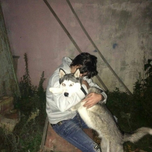 XASKI iti Satiram! Temmiz Xaskidi gelib baxada bilersiz(Ancag Real Ali