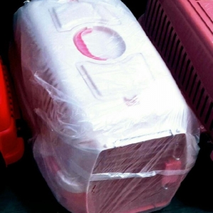 Itlerin ve piwiklerin dawinmasi ucun pirnoska satilir. Berk matriali v