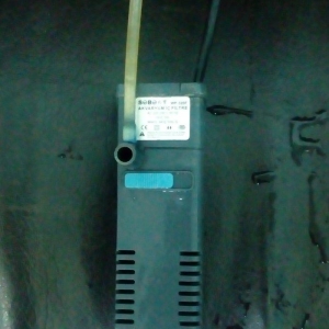 Akvarium 65 lt baliq 40 dan cox filter qizdirici 5