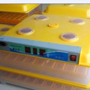 196 yumurtaliq inkubator, zavod istehsalidi, elde duzelme deyil, tam