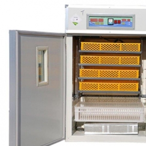 352 yumurtaliq inkubator. 252 ordek, hinduhka ,   