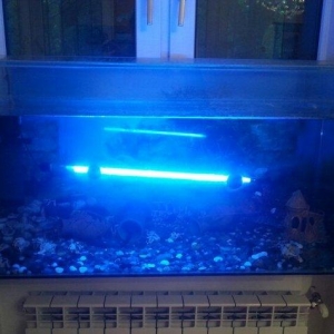 Aksesuarlari ile birlikde satilir. Hundurluyu 0. 50m. Eni. 0. 50m. Uzu