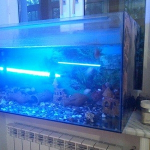 Aksesuarlari ile birlikde satilir. Hundurluyu 0. 50m. Eni. 0. 50m. Uzu