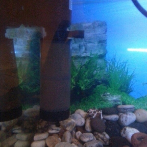 Aksesuarlari ile birlikde satilir. Hundurluyu 0. 50m. Eni. 0. 50m. Uzu