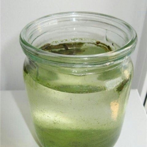 İnfuzoriya. Balıq balaları üçün diri yem. 1 