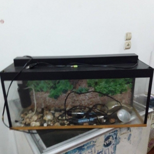 akvarium icinde matoru spiral ve icindeki aksesuar