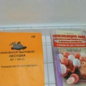 Этот инкубатор — для небольшого фермерского хозяйства или самостоятель