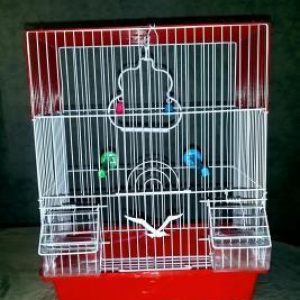 Teze qefes satilir. Su qabi ,yem qabi,  papuqay du