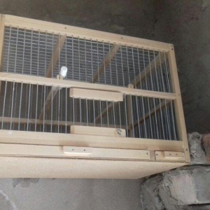 Hamya  Salam  Qəfəs biri 12 manat ikisini  ğöt