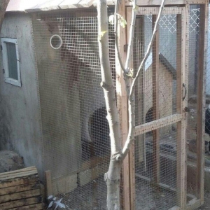 salam quw xana satilir 1 in 1 e icidi hundurluyu 1